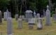 @ Springfield Cemetery (1) view